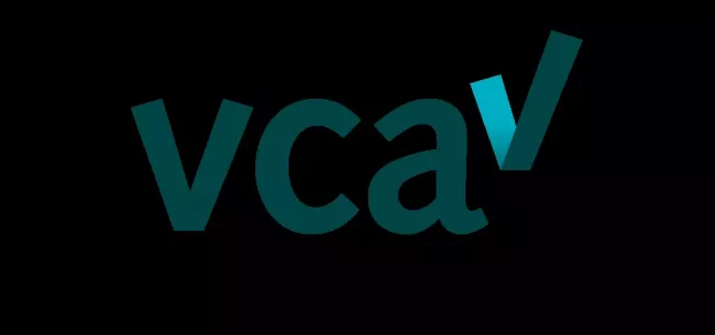 VCA-VOL E-Learning (inclusief Examen op 1 van de 18 locaties in Nederland)
